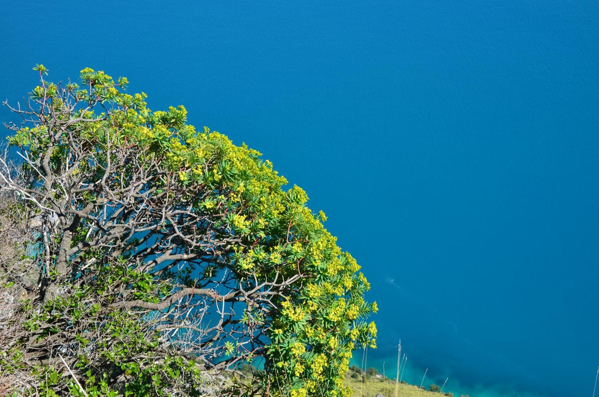 Tre Borghi Villa San Giovanni a Piro Buitenkant foto